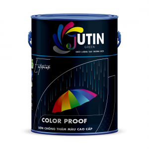 Sơn chống thấm màu cao cấp 5L